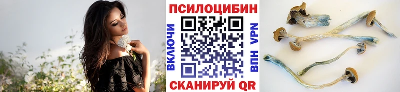 где купить наркоту  blacksprut как войти  Псилоцибиновые грибы мицелий  Нефтегорск 